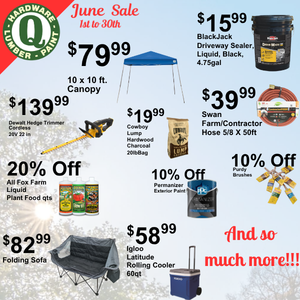 items on sale in June
